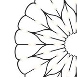 Фото MOD037PL-L48B - 1