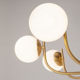 Фото MOD109PL-08BS - 4