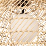 Фото MOD204PL-01BG1 - 14