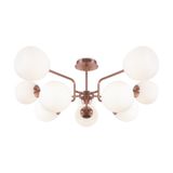 Фото MOD221PL-10G - 1