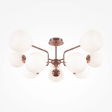 Фото MOD221PL-10G - 4