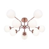 Фото MOD221PL-10G - 5