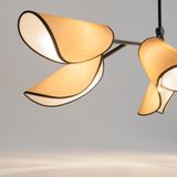 Фото MOD225PL-06B - 2