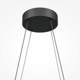 Фото MOD244PL-L50BK - 6