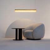 Фото MOD250PL-L36BS3K - 6