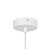 Фото MOD321PL-01W1 - 5