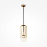 Фото P362PL-01G - 2