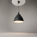 Фото P535PL-01B - 4