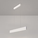 Фото P010PL-L23W4K - 2