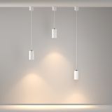 Фото P100PL-20W3K-W - 12