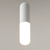 Фото P101PL-L300-12W3K-W - 12