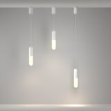 Фото P101PL-L300-12W3K-W - 3