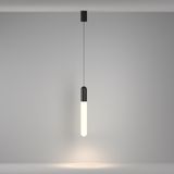 Фото P101PL-L500-12W3K-B - 12