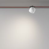 Фото TR124B-12W4K-W - 4