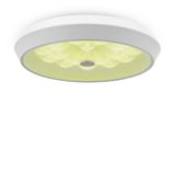 Фото FR10012CL-L24W - 2