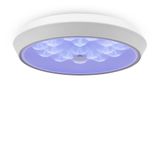 Фото FR10012CL-L24W - 5