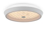 Фото FR10012CL-L24W - 9