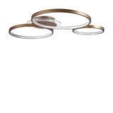 Фото FR10014CL-L87G - 9