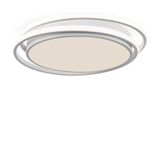 Фото FR10031CL-L98W - 2