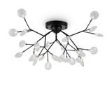 Фото FR5049CL-27B - 1