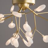 Фото FR5049CL-27G - 2