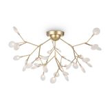 Фото FR5049CL-36G - 1