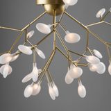 Фото FR5049CL-36G - 3