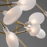 Фото FR5049CL-36G - 4