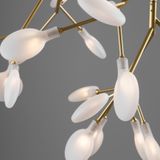 Фото FR5049CL-36G - 5