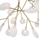 Фото FR5049CL-36G - 8