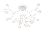 Фото FR5049CL-36W1 - 1