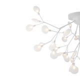 Фото FR5049CL-36W1 - 3