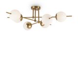 Фото FR5205PL-06BS - 2