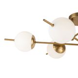 Фото FR5205PL-06BS - 4