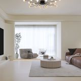 Фото FR5242CL-24B - 8