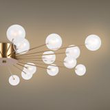 Фото FR5242CL-24BS1 - 16