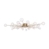 Фото FR5242CL-24BS1 - 2