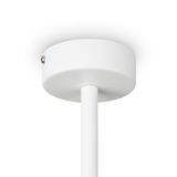 Фото FR5363CL-06W - 5