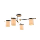 Фото FR5377CL-04B - 2