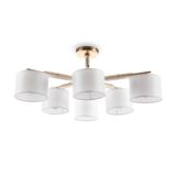 Фото FR5386CL-06G - 2