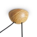 Фото FR5554CL-01T - 6