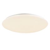 Фото FR6999-CL-45-W - 1