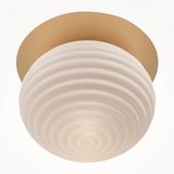 Фото MOD268CL-01G - 10