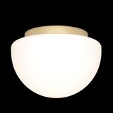 Фото MOD270CL-01G - 10