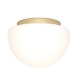 Фото MOD270CL-01G - 2