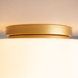 Фото MOD270CL-01G - 4