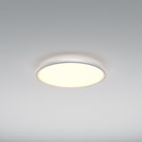 Фото MOD426CL-L43WK1 - 5