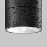 Фото O310CL-L12GF3K - 12