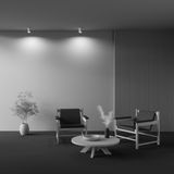 Фото C003CW-01W - 5