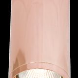 Фото C010CL-01RG - 3